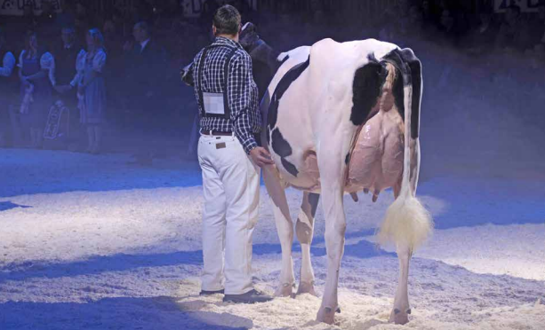 Expo Bulle 